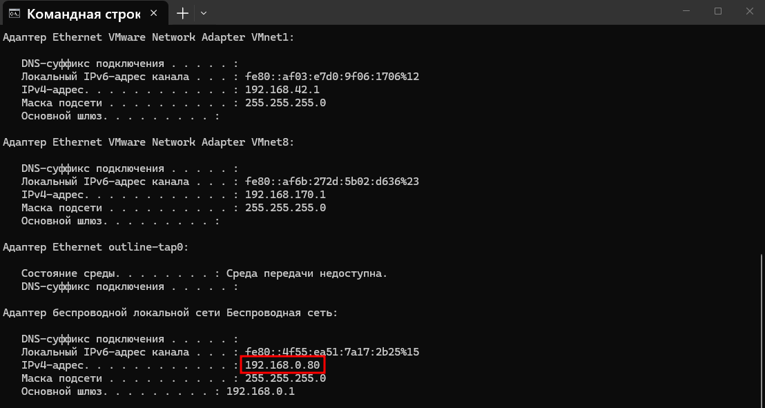 Evilginx phishing ipconfig network interface