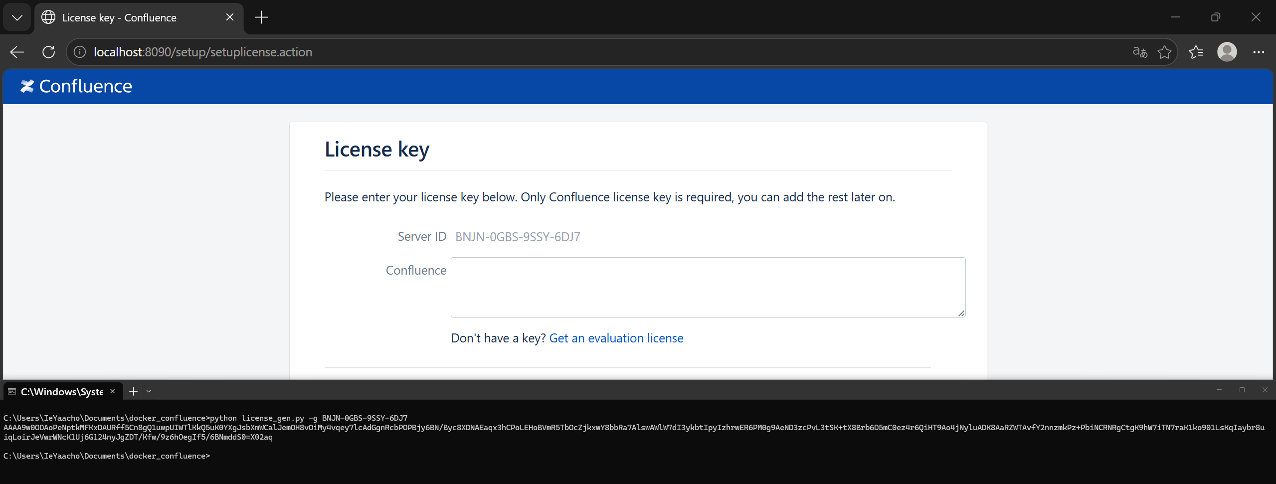 License activation keygen output