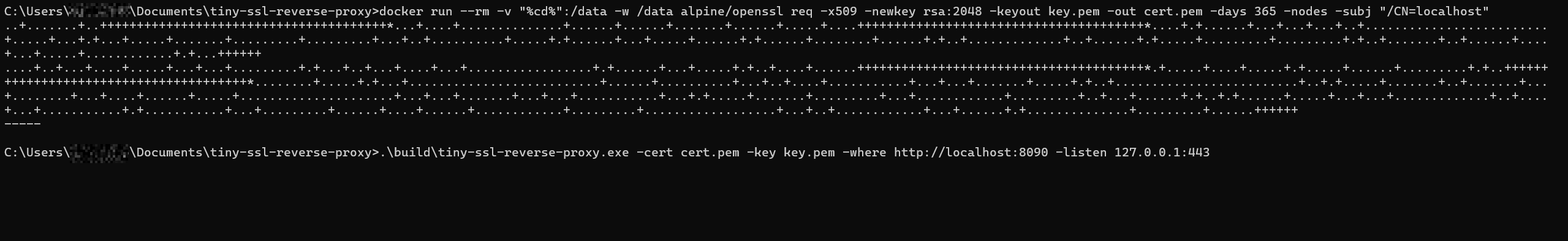 Reverse proxy TLS keys and run