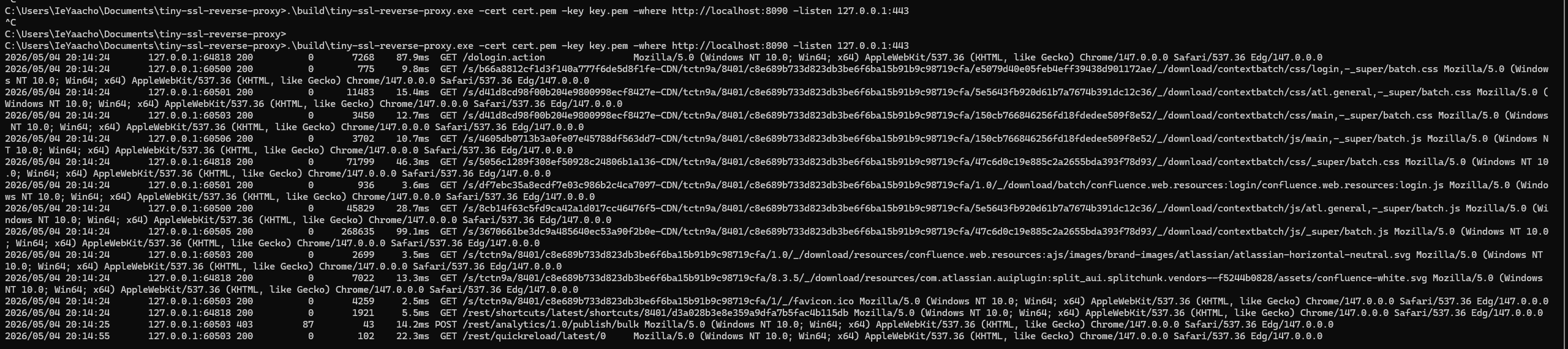 Reverse proxy proxy traffic logs