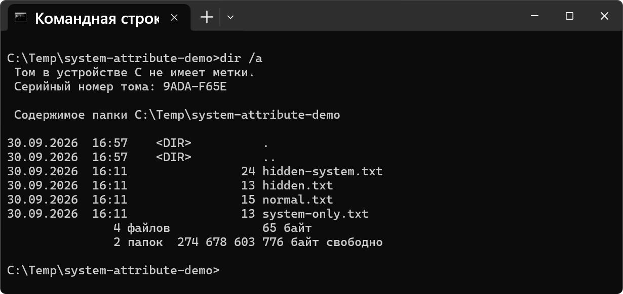 Listing all files with dir /a in CMD