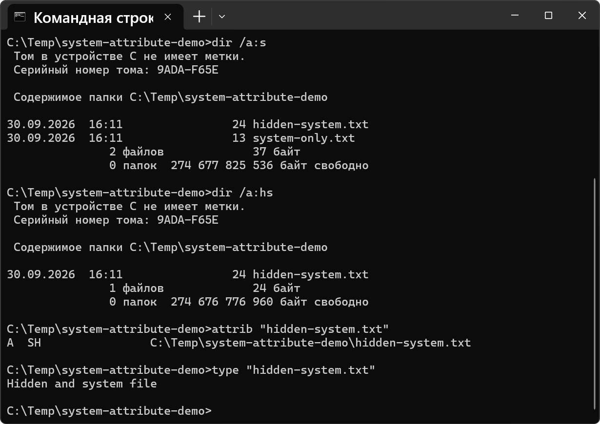 Inspecting and reading a hidden system file in CMD